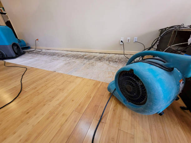 Professional Sewage Cleanup technician working in Winthrop, WA